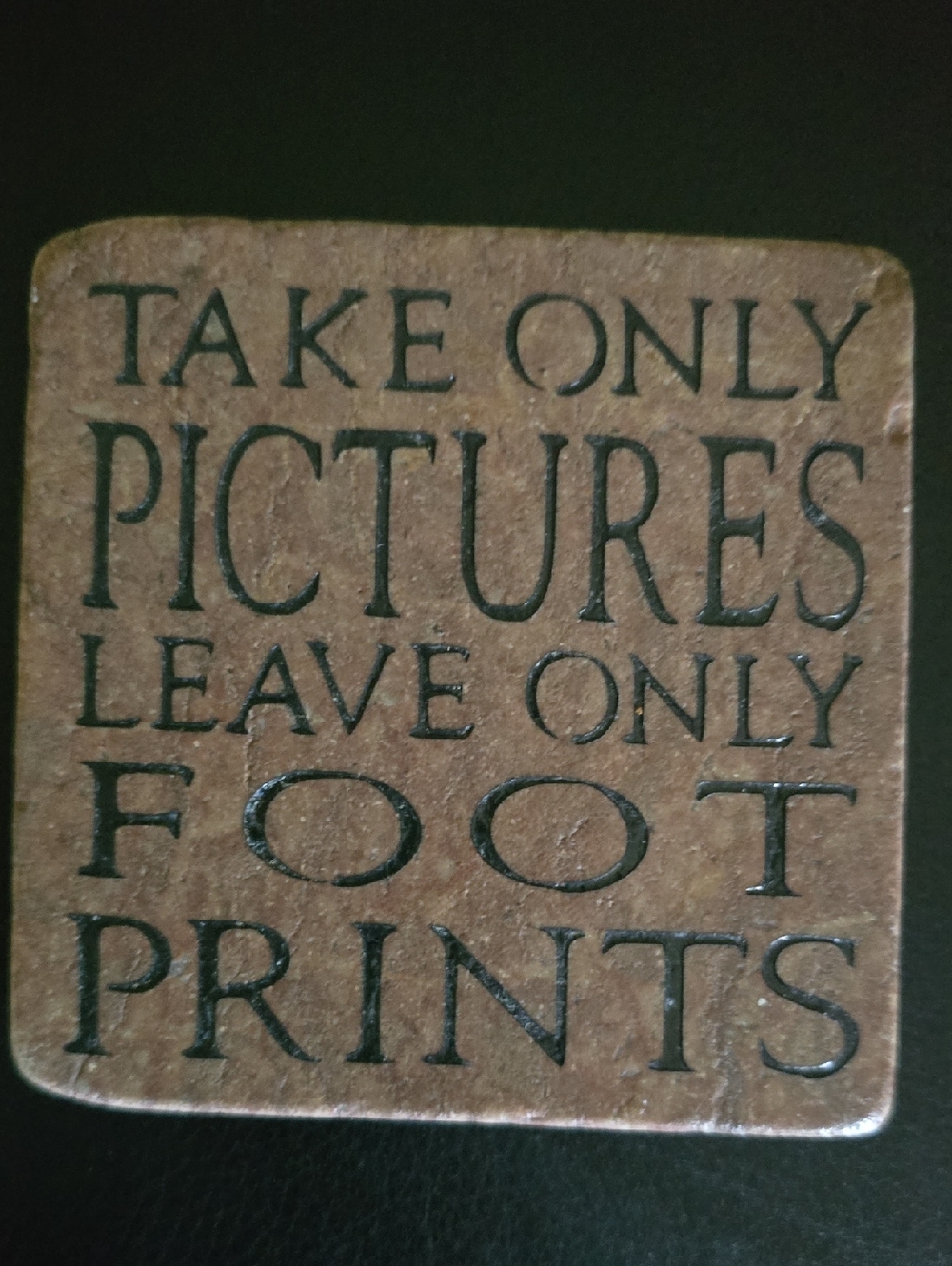 Decorative Ceramic / Resin Type Plaque 'Take Only Pictures' Brown/Black